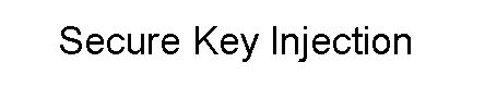 Secure Key Injection Services - Best Landscape Images in Retina