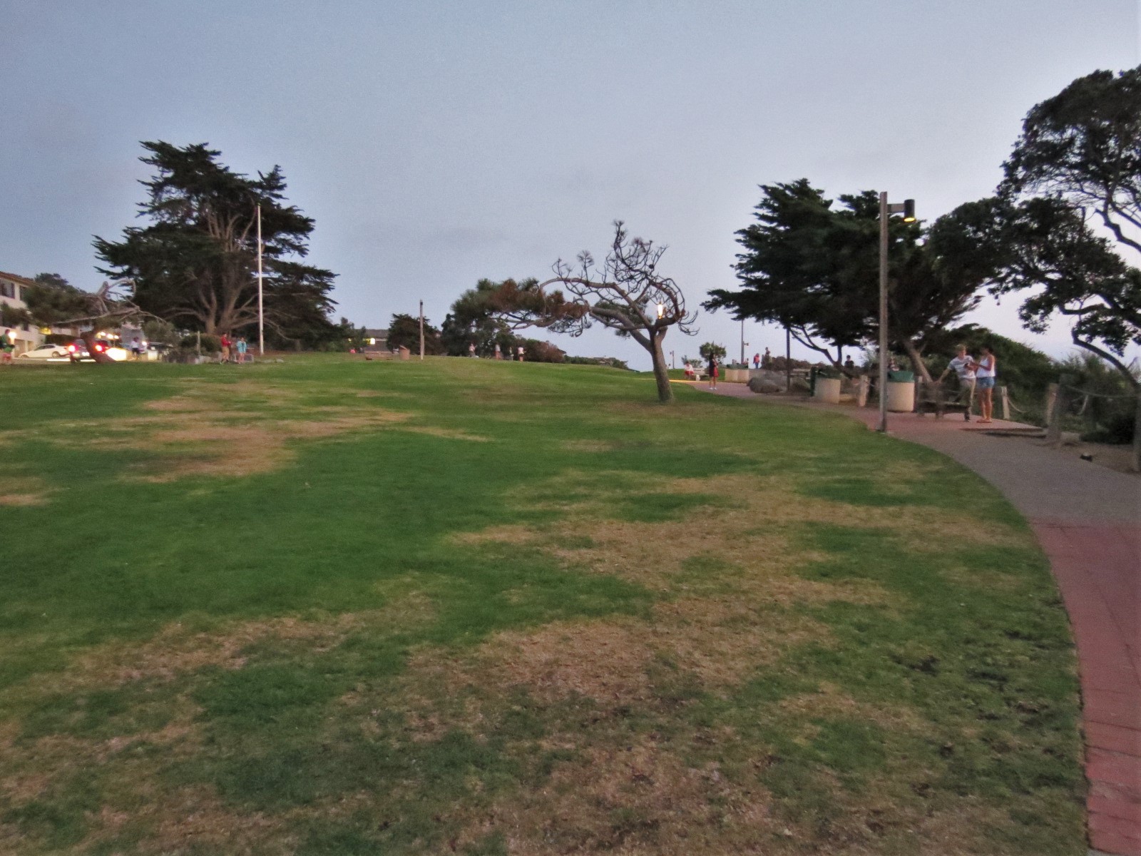 Dine and Do in Del Mar