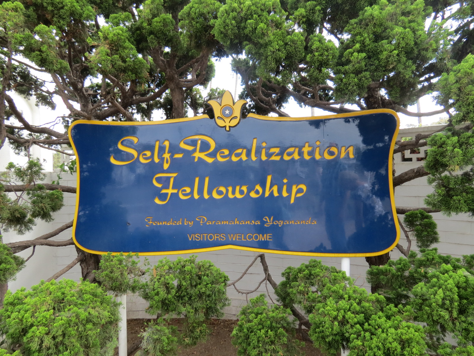 Dine and Do in Encinitas