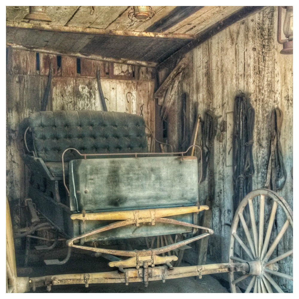 Stein Family Farm