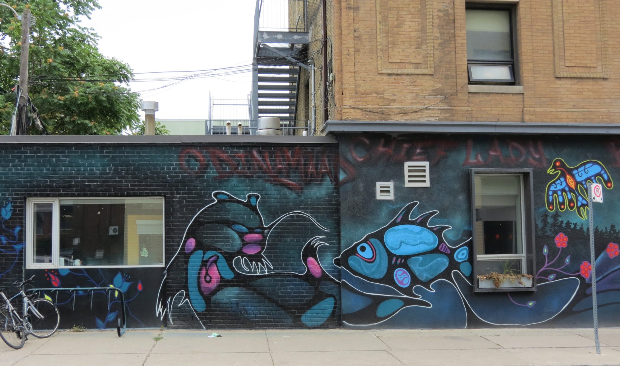 Discovering Toronto