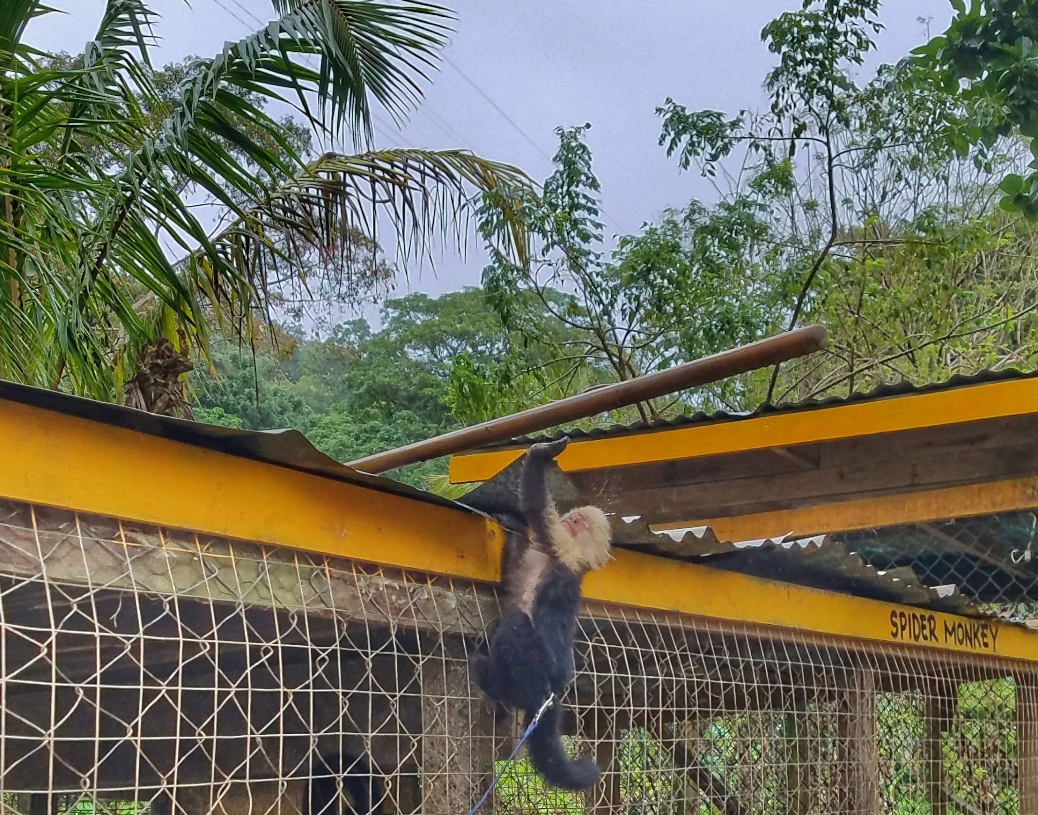 Roatan