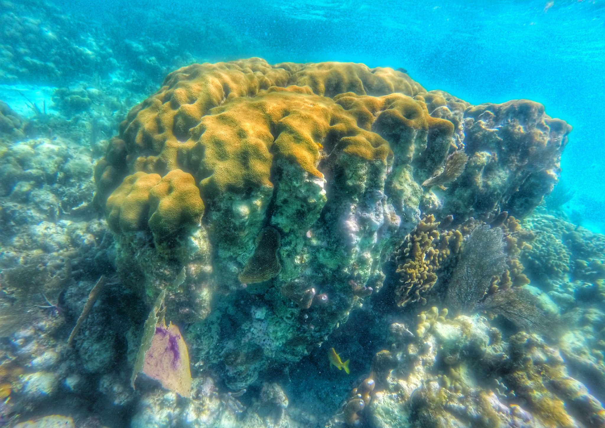 Roatan