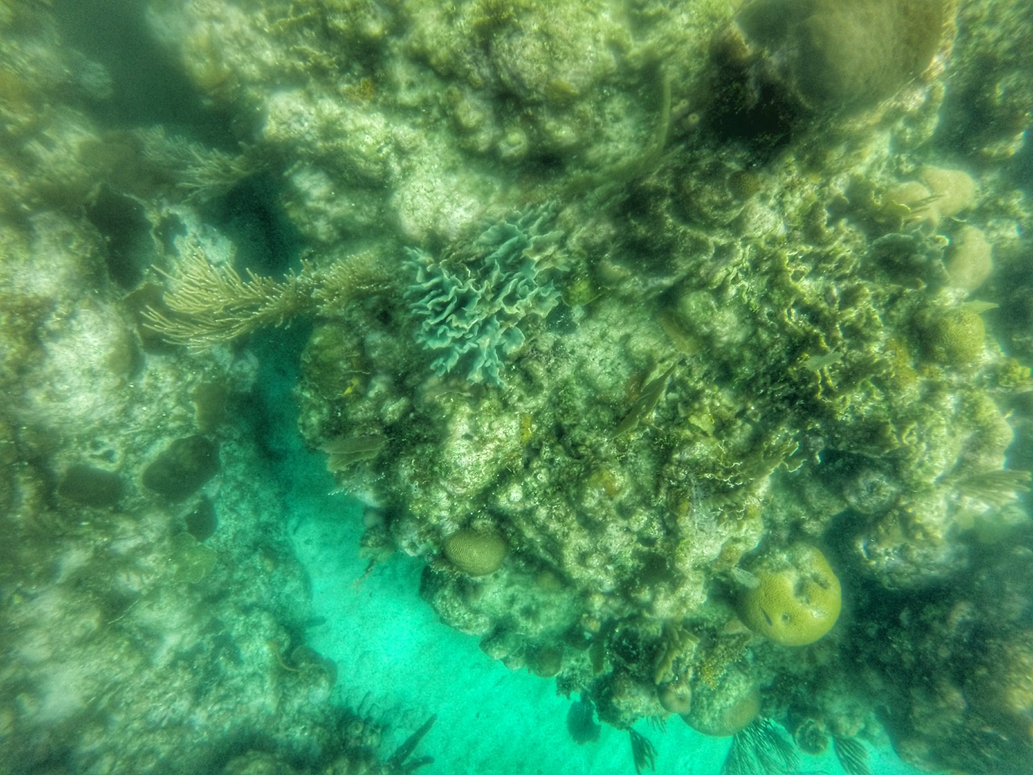 Roatan