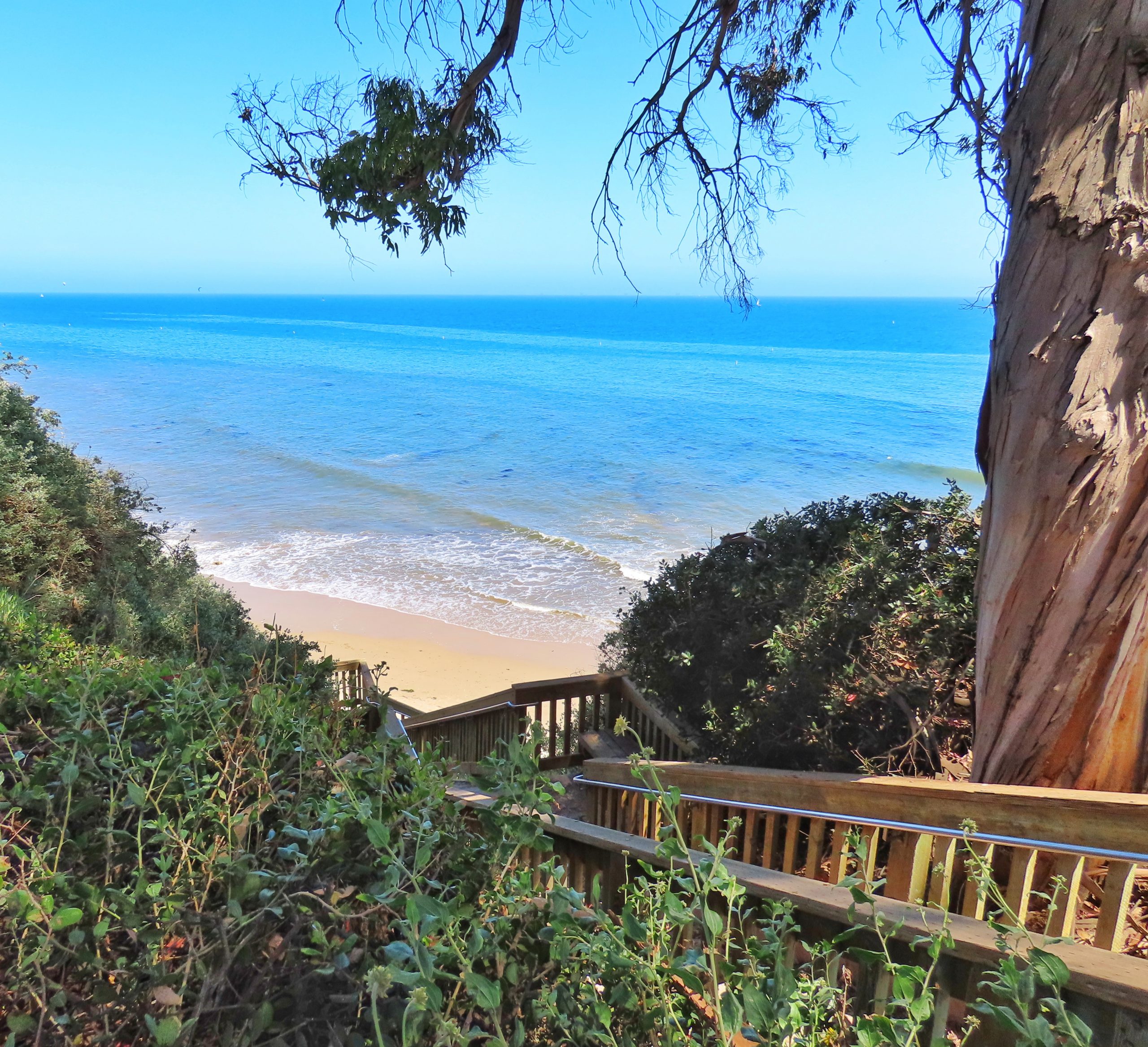 Santa Barbara