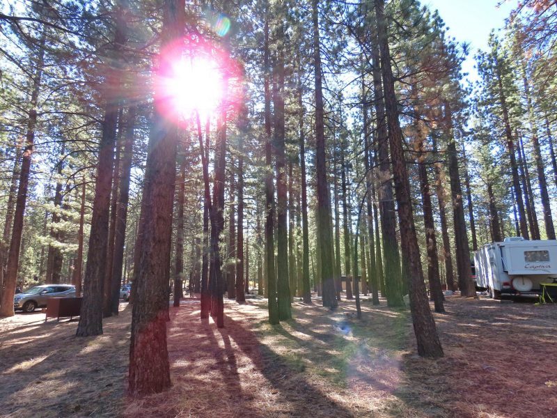 camping in the Eastern Sierras