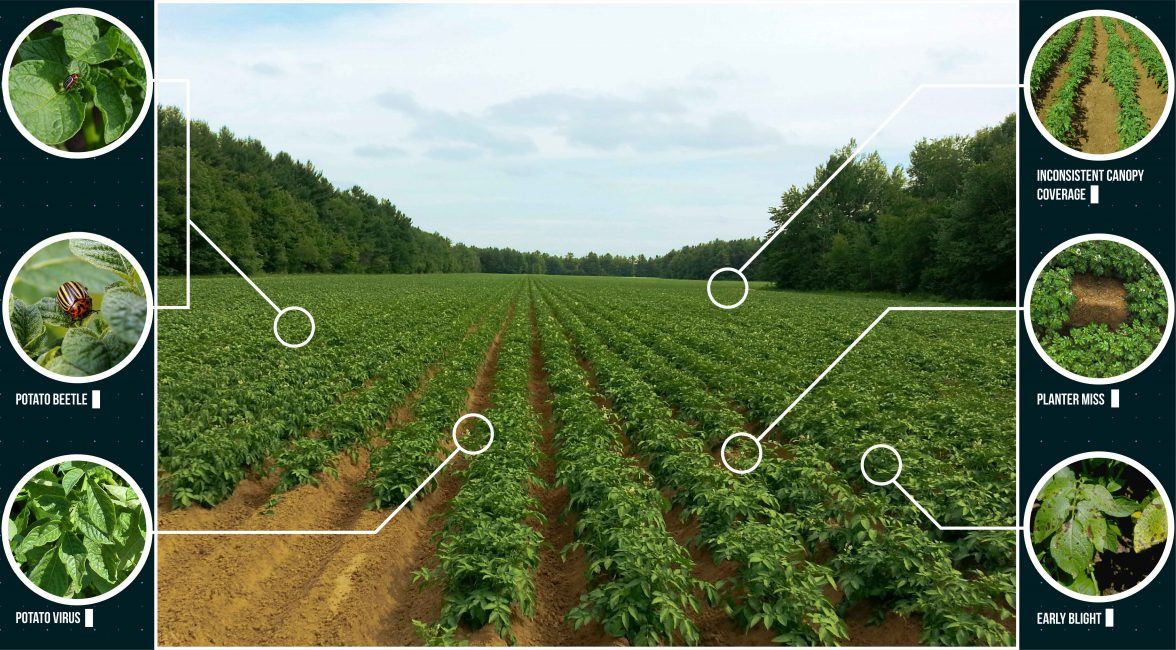 Wastewater treatment plants work to clean water contaminated with sewage so that it can be returned to the environment. Remote Sensing: Technology, Current Use & Future Outlook