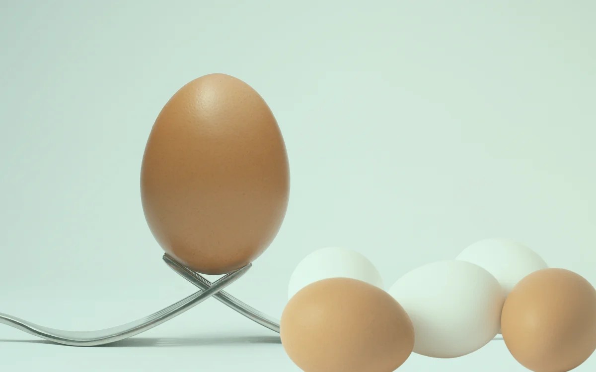 The Quality Of Egg Shells