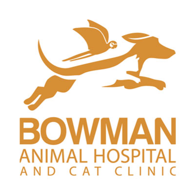Bowman animal hospital
