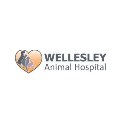 Wellesley animal hospital