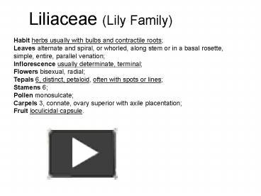 Ppt Liliaceae Lily Family Powerpoint Presentation Free To View