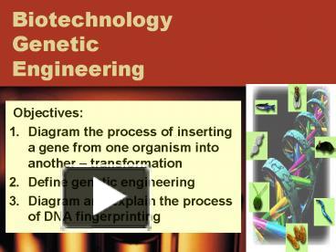 However, despite its traditional roots, modern biotechnology is often associated with the use of genetically modified systems. Ppt Biotechnology Genetic Engineering Powerpoint Presentation Free To View Id 715be1 Mtg1o