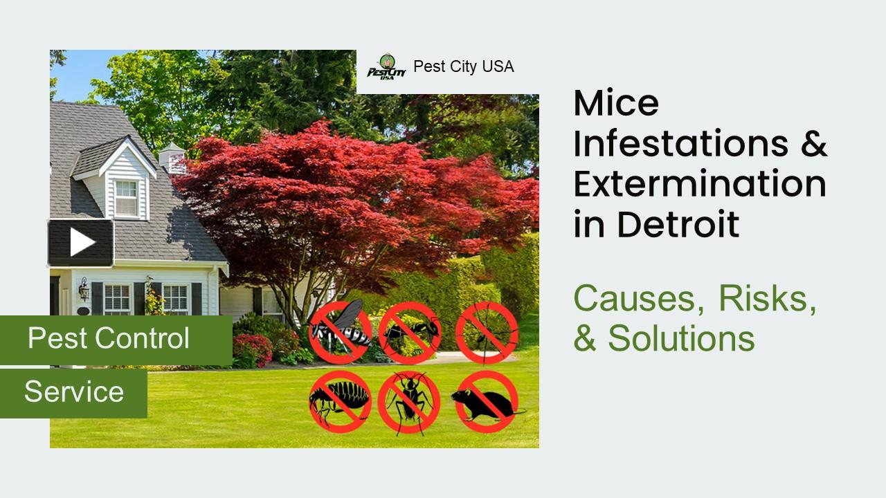 Mice infestations: causes, risks, and proactive solutions presentation