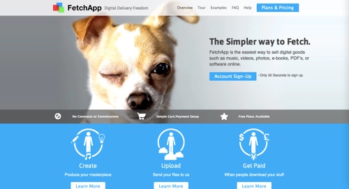 Platforms To Sell Digital Products - Website For Selling Digital Articles Freedom