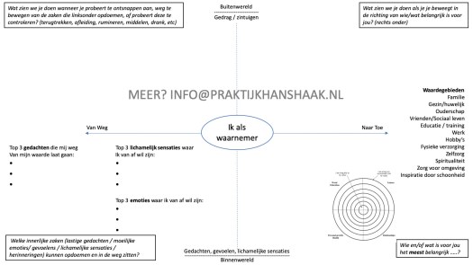 ACT Matrix