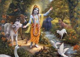 भजन: श्री कृष्णा रासलीला