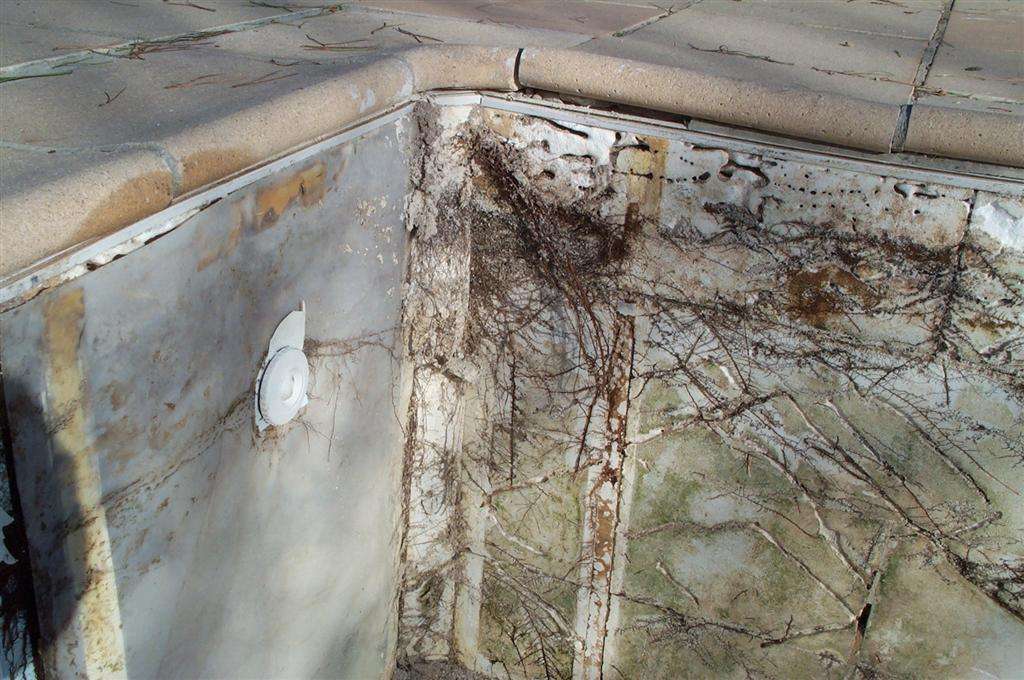 Piscine Beton En Blocs Polystyrene 12 X 4 X 1 50m De Profondeur Avec Escalier Plage 3 Marches Pvc Arme Filtration Traditionnelle Traitement Uv Et Regulation Ph Chantier Mercuer