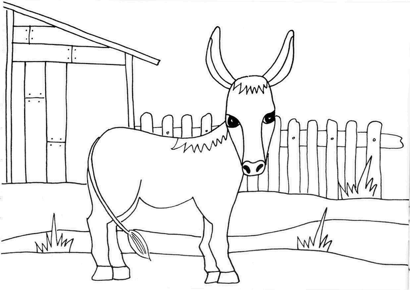 Zvířátka z našeho dvorku Předškoláci omalovánky, pracovní listy