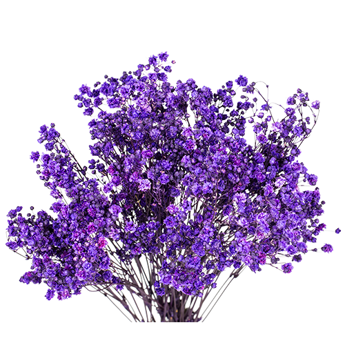 Deep Lavander