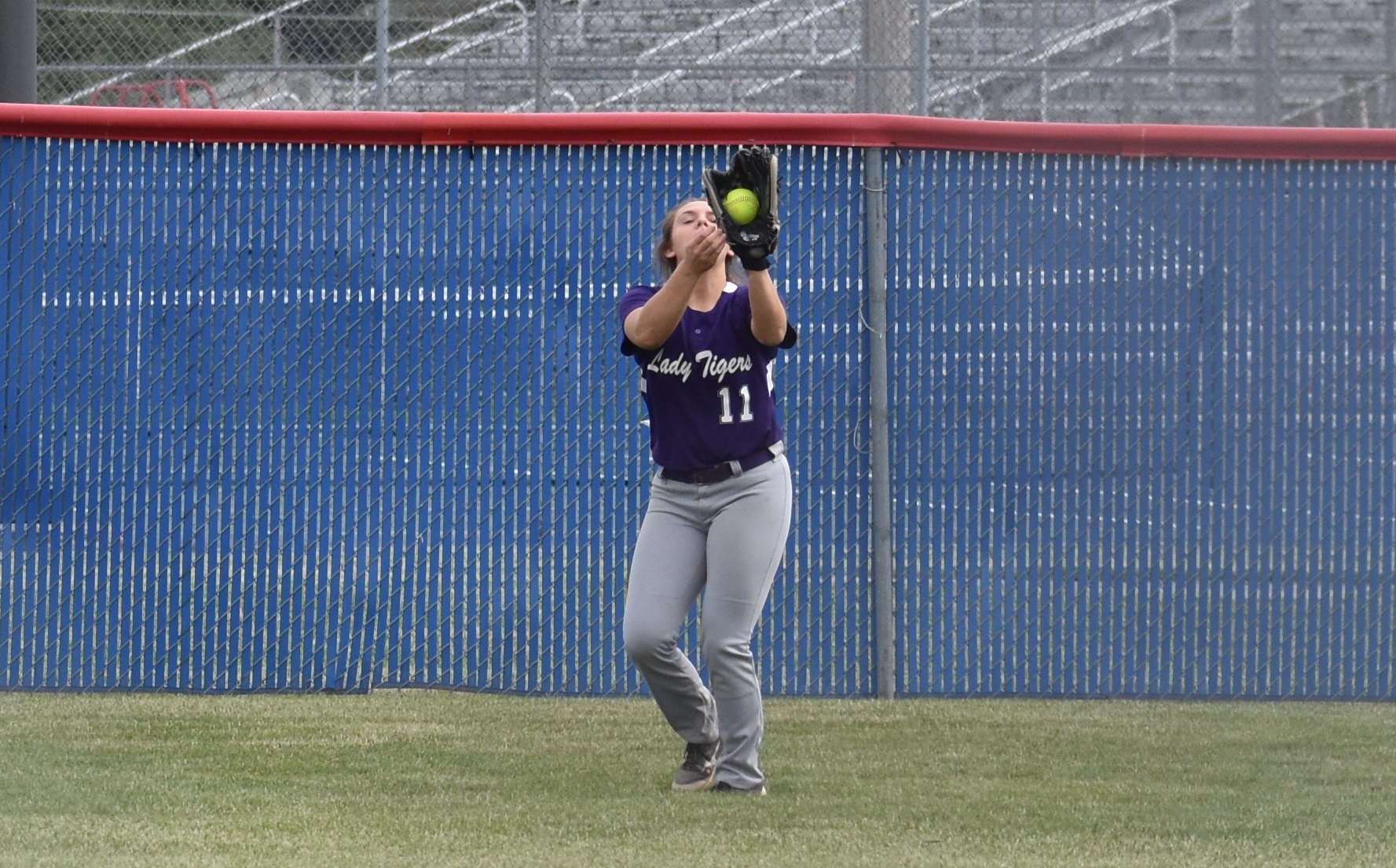 Softball Photo Gallery Hagerstown Press Room Pass