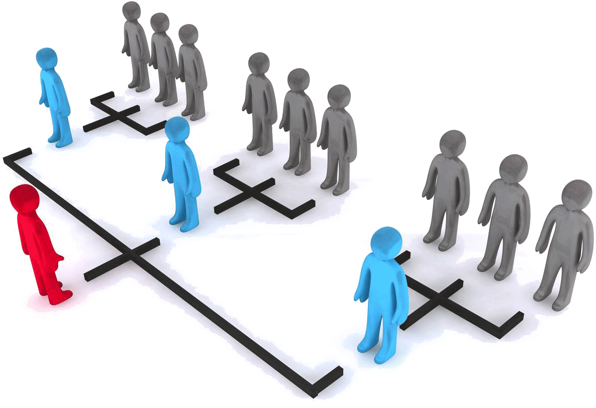 Mastering The PRINCE2 Organization - PRINCE2 Primer Practitioner Exam