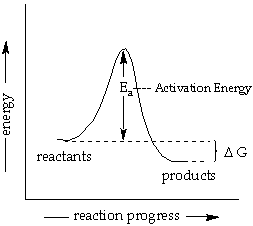 Label The Energy Diagram For A Two Step Re Clutch Prep 