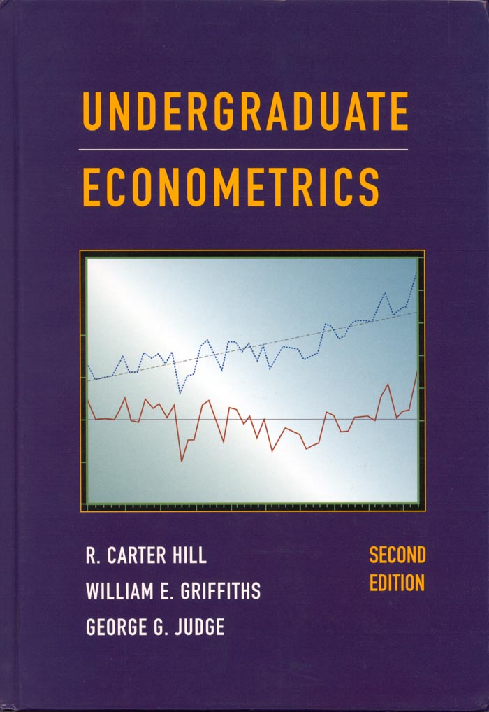 Internet marketing textbook 3rd edition : Principles of Econometrics