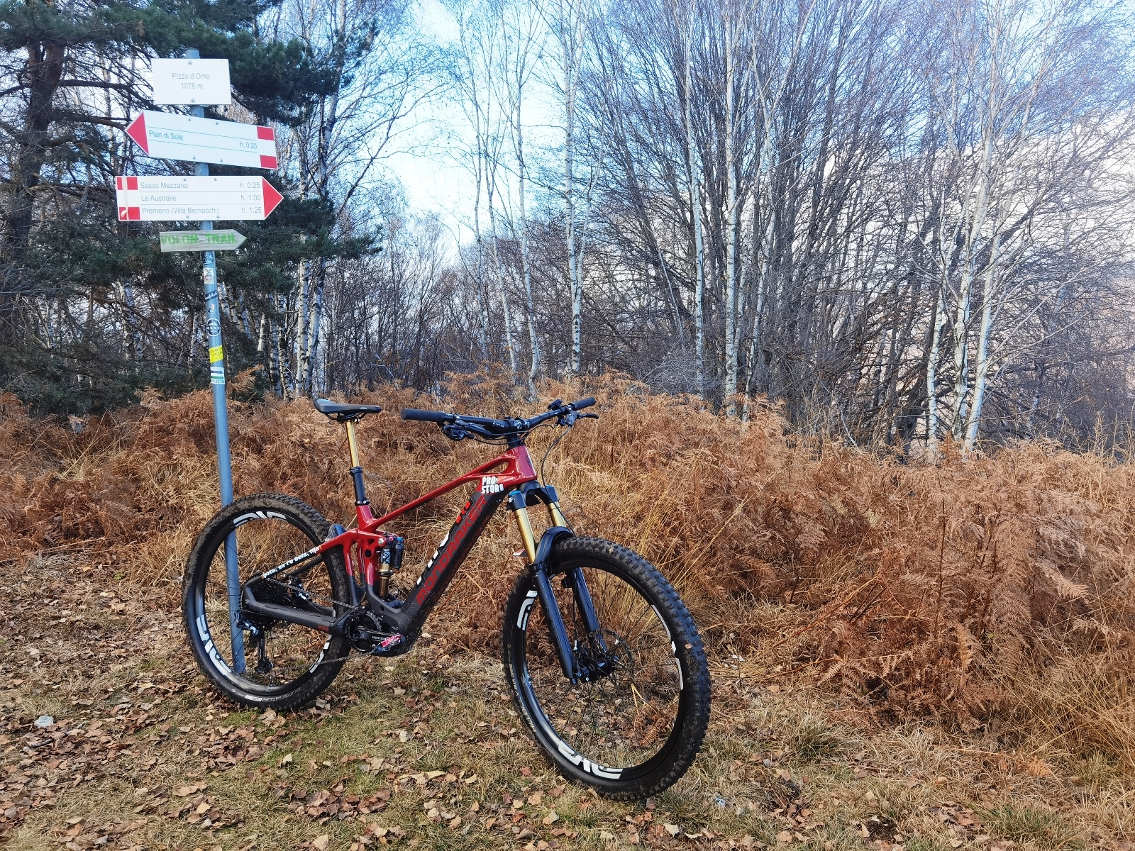 Pro-M – MTB \u0026 Road bikes » Blog Archive 