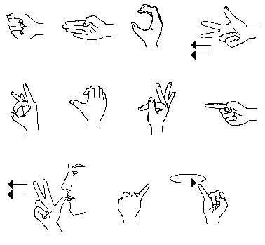 Promotora Espanola De Linguistica Proyecto De Lengua De Signos De