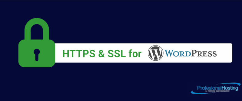 Configurar Certificado Ssl En Wordpress Espainet Soluciones Internet - Premium Minimal Picture Gallery - High Resolution