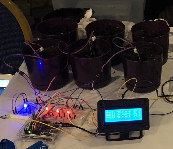 small black pots with soil in them on bench covered with moisture sensors, wires and Arduino controlled display with wires and LEDs everywhere
