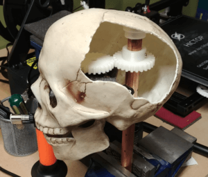 Arduino Controlled animatronic skull with gears