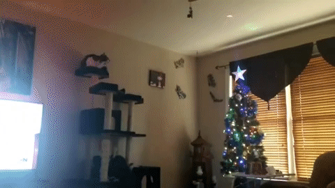 Arduino Christmas Tree Defender Cat Diversion Laser Turret