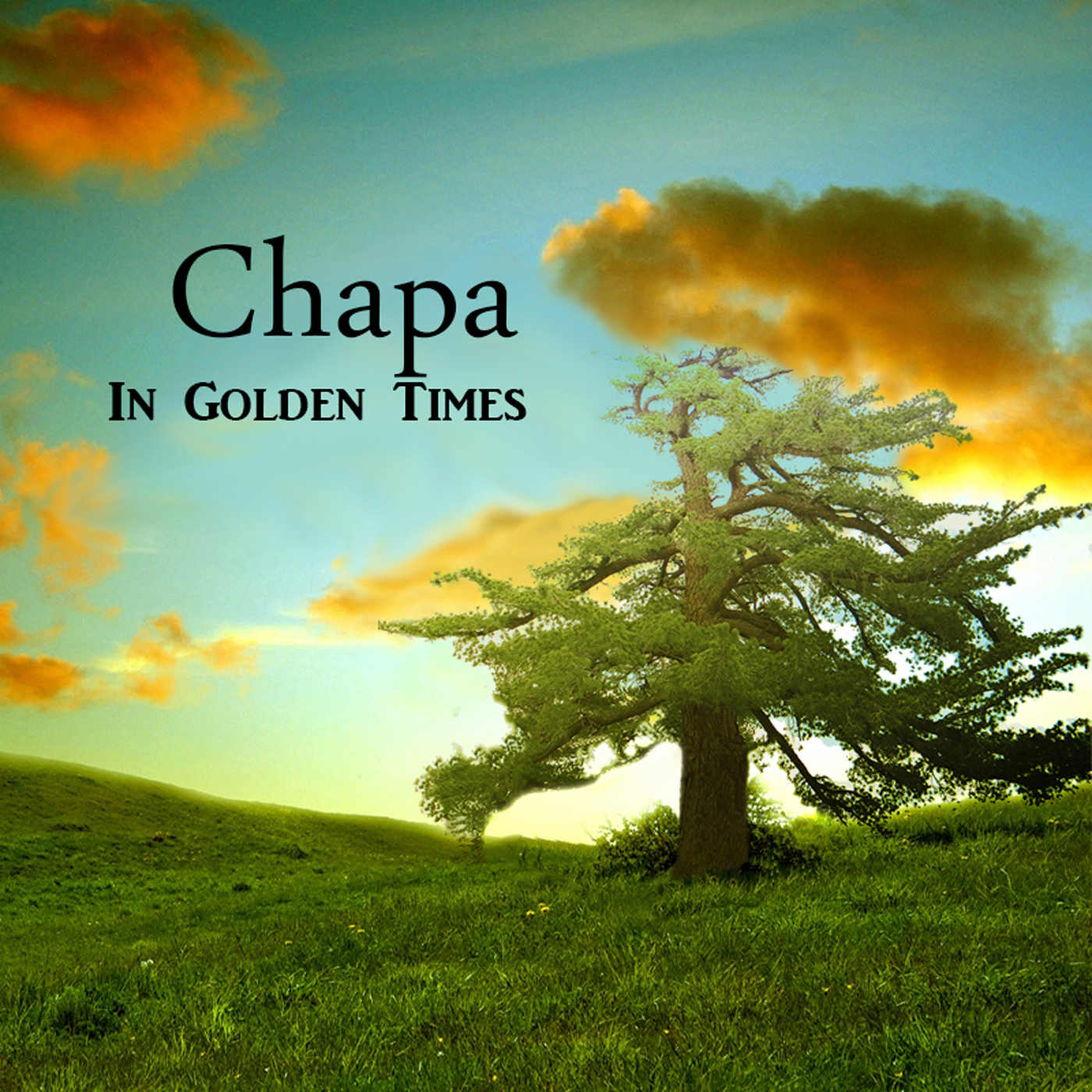 Chapa sings about Golden Times