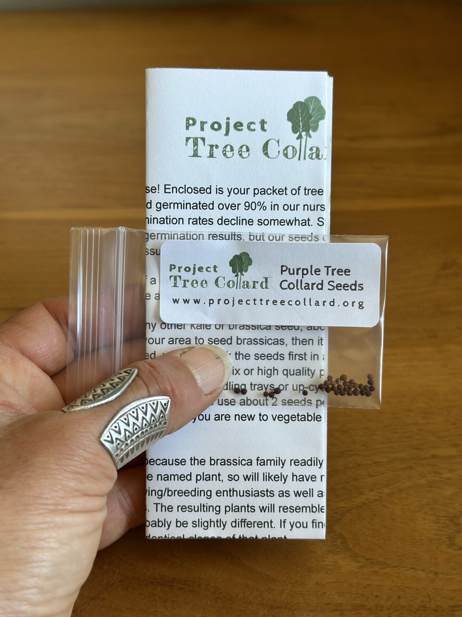 Purple Tree Collard Seeds