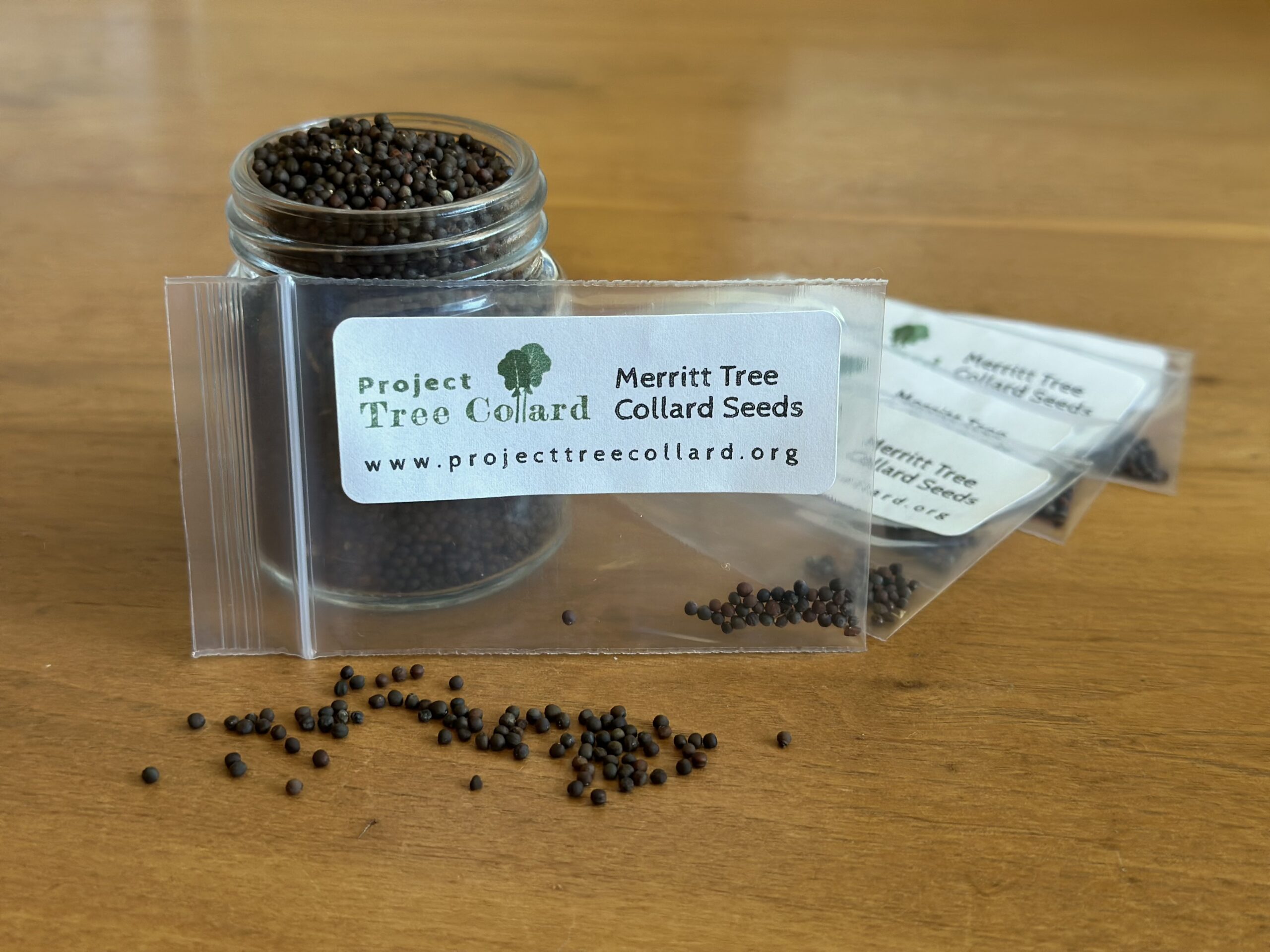 Merritt Tree Collard Seeds