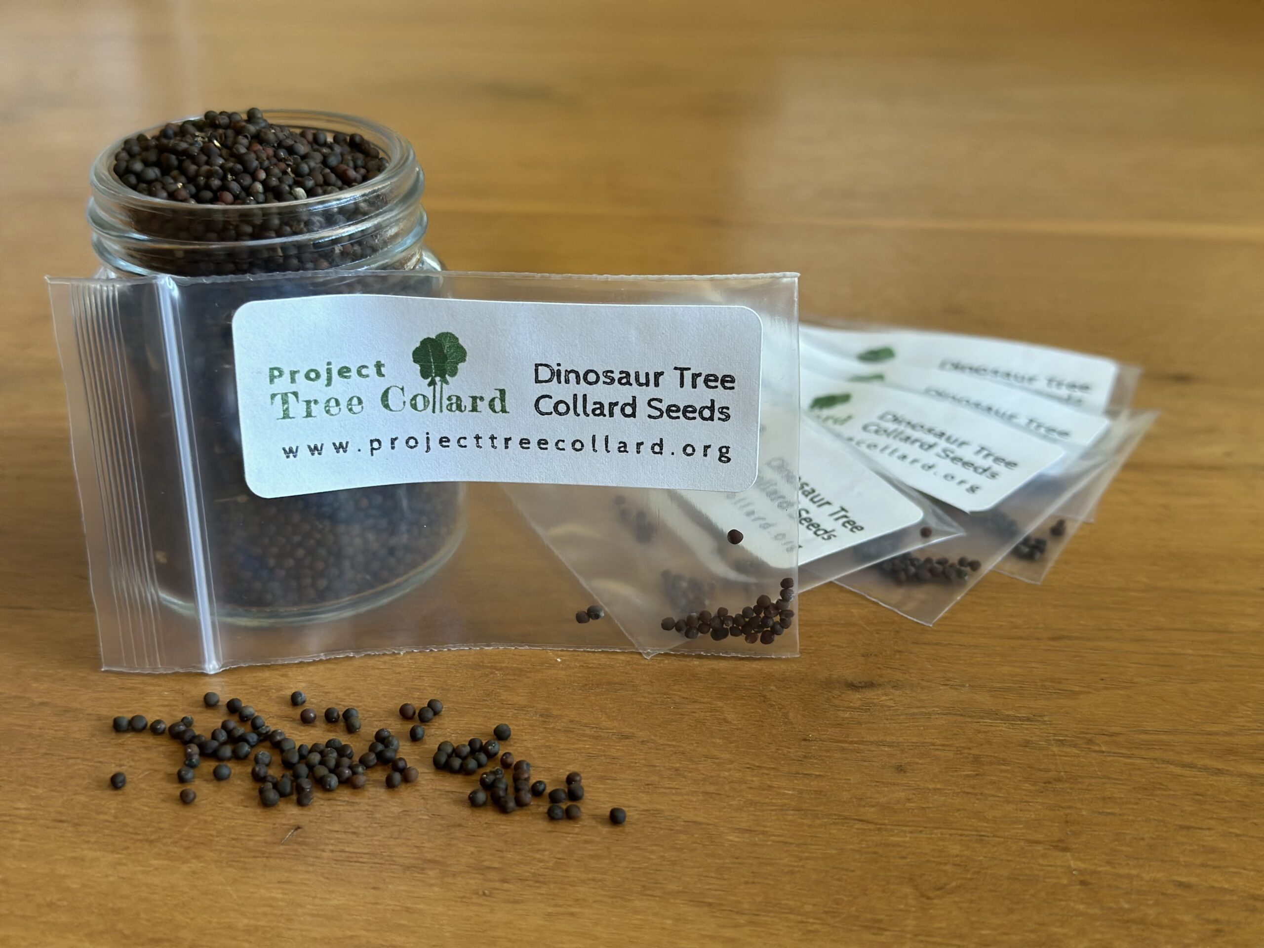 Dinosaur Tree Collard Seeds