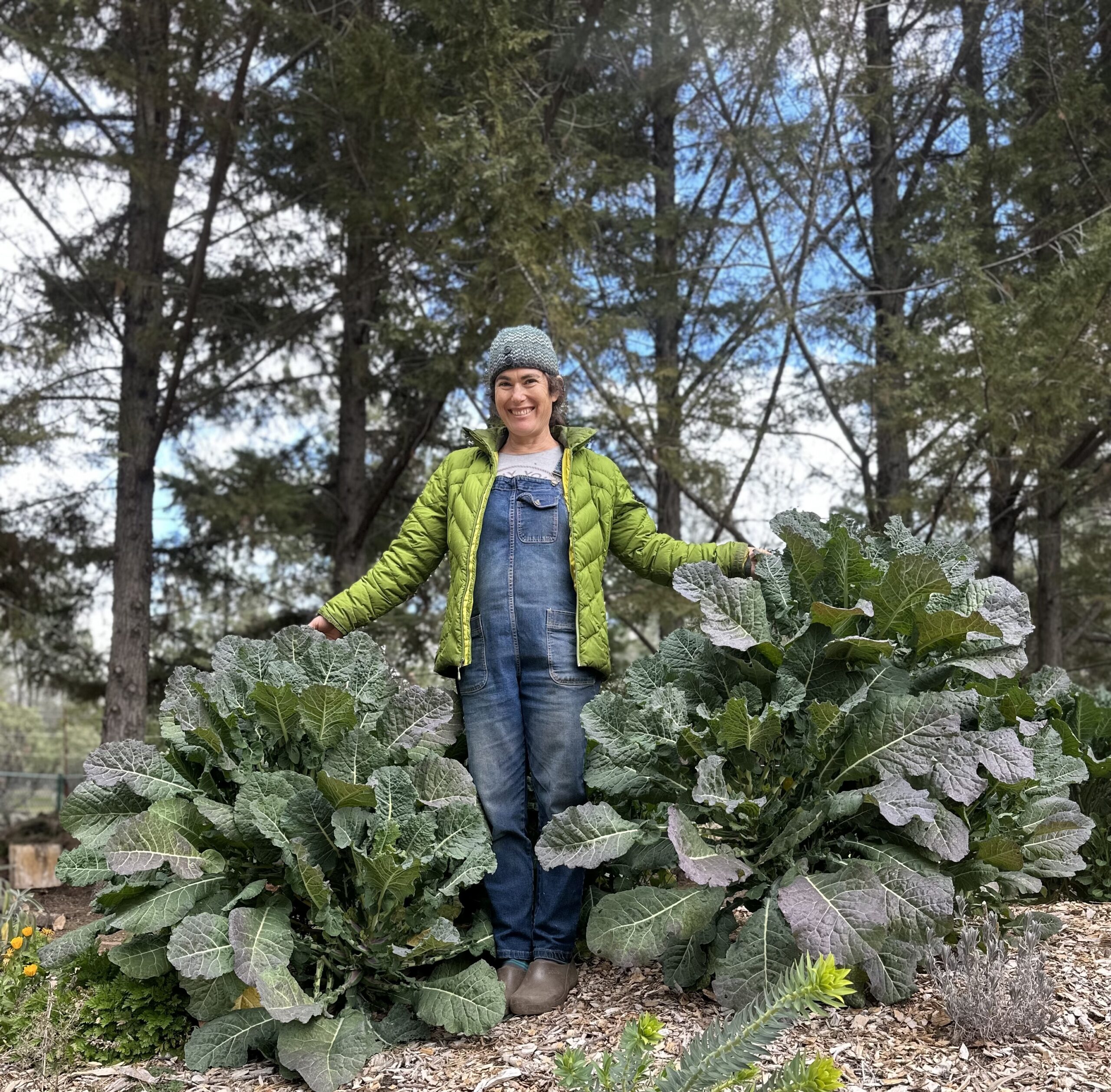 Sequoiah With Big Blue Tree Collards
