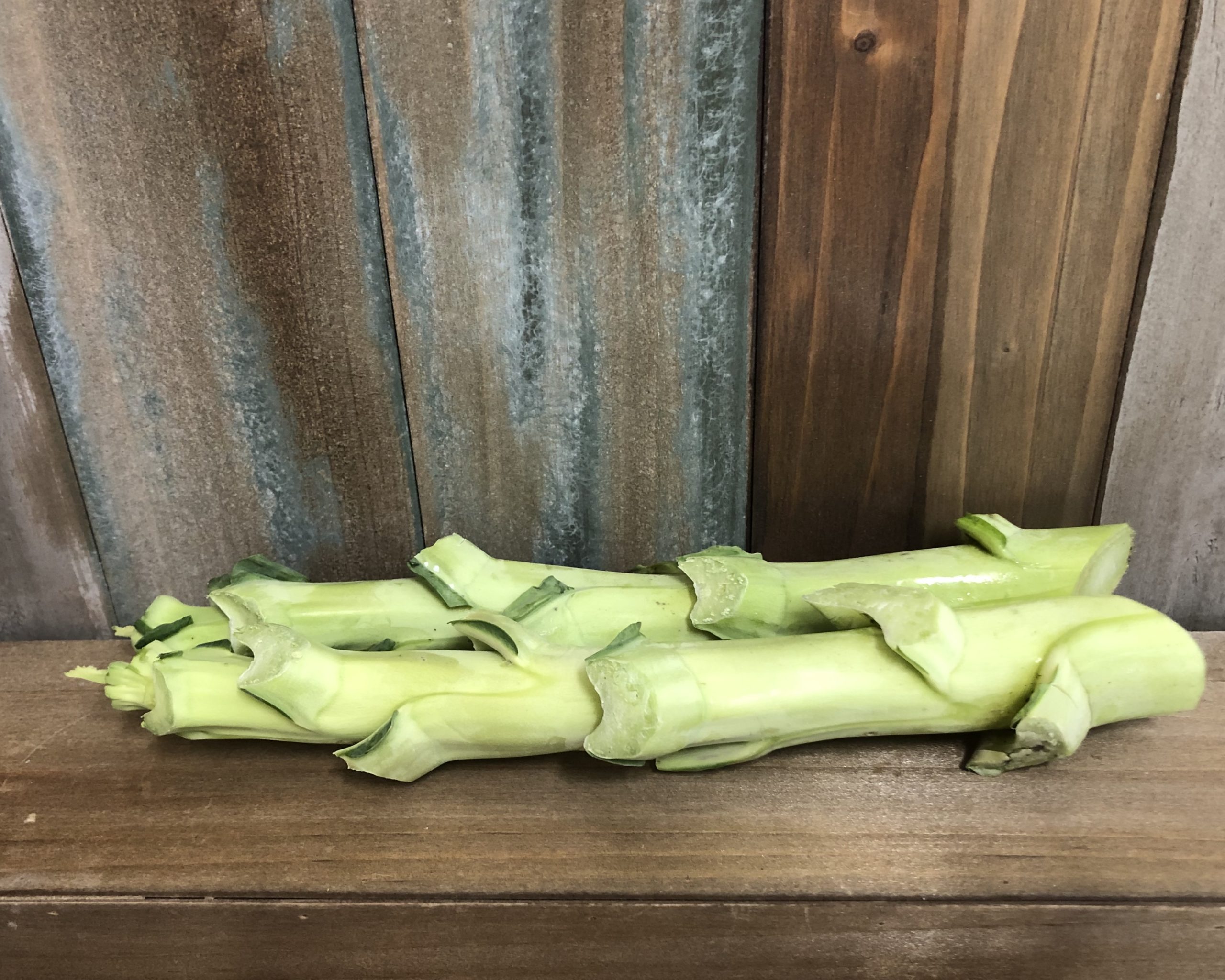 2 large Jolly Green Tree Collard Cuttings