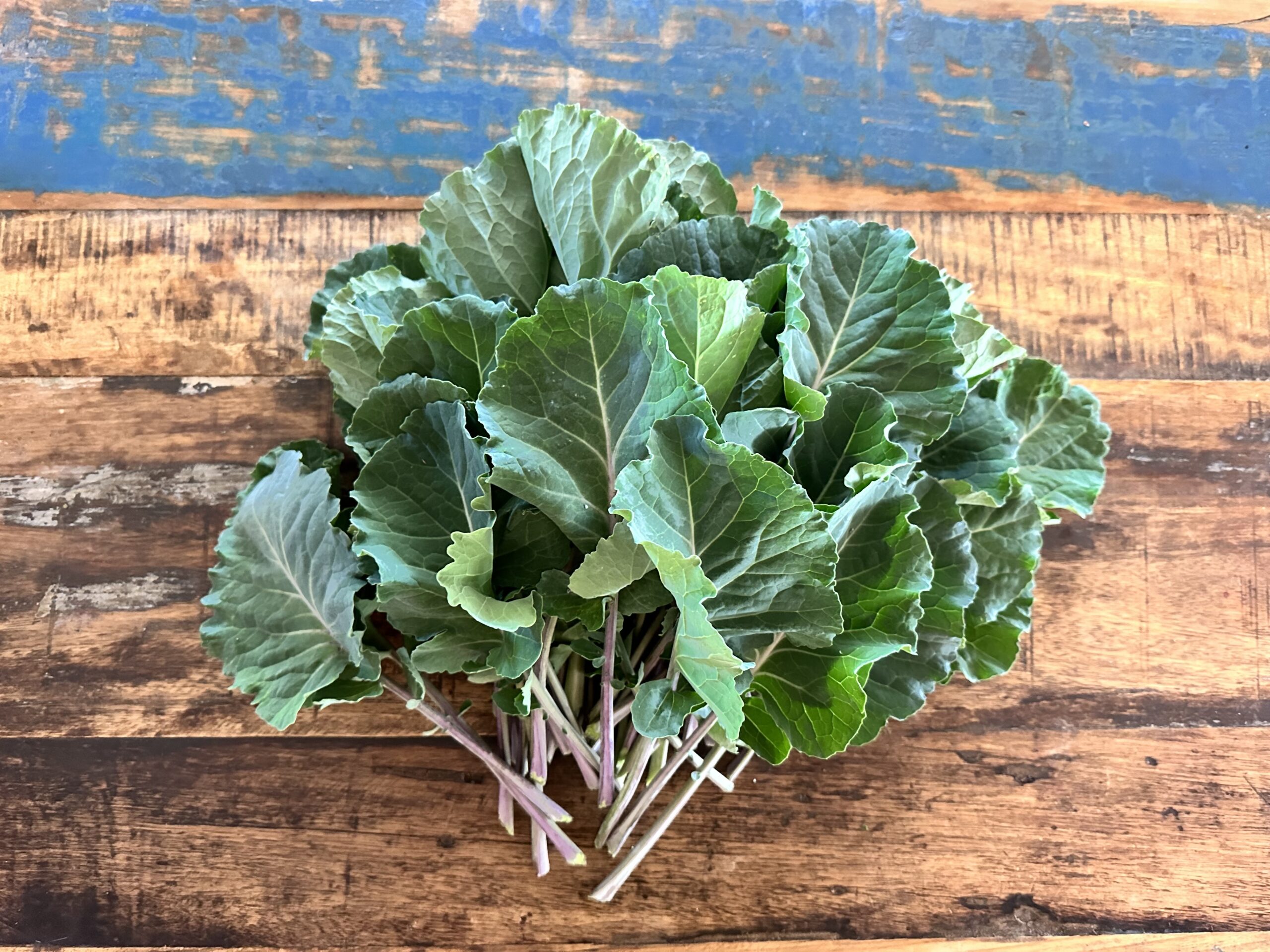 Taunton Deane Kale leaves