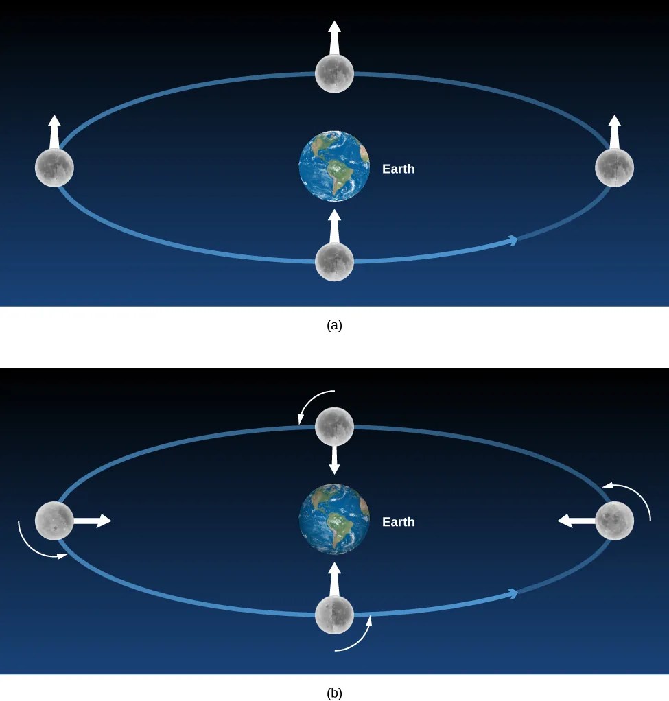 An OpenStax of the motion of the Moon, both with and without rotation on its axis.