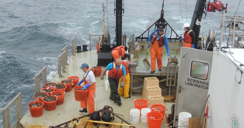 Mastering Url Handling In Cursor Ai A Practical Guide With Examples - Download Stunning Ocean Photo | Retina