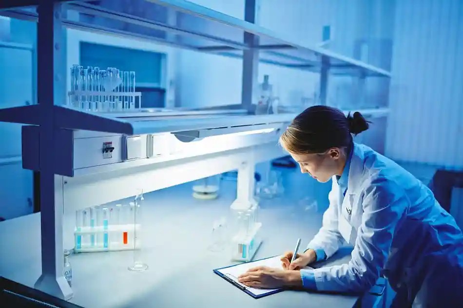 Scientific English Editing And Proofreading Services For Authors