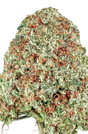 Sour Grenade S1 Strain Copycat Genetix