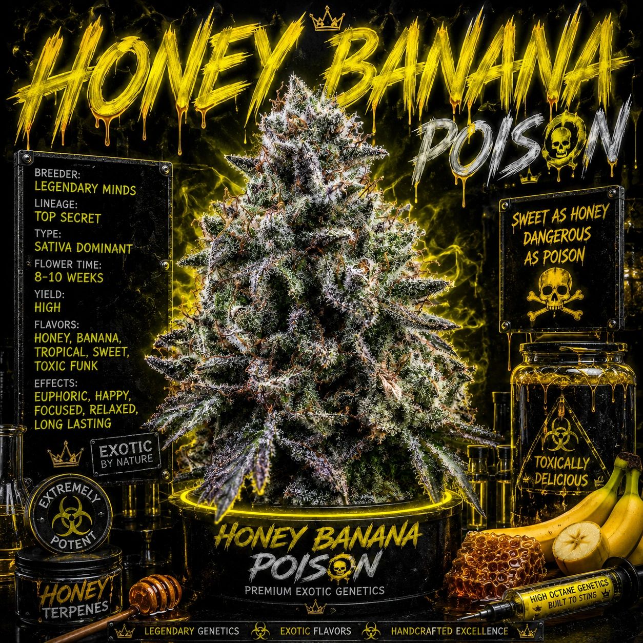 Honey Banana Poison Strain - Copycat Genetics