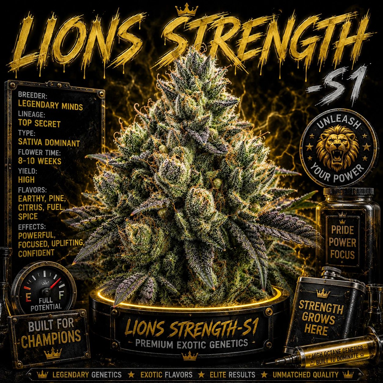 Lions Strength Strain - Copycat Genetics