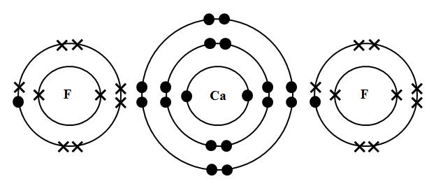 Image result for calcium fluoride bonding