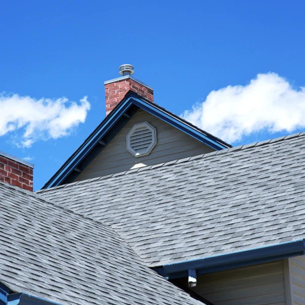Pro Shingle b