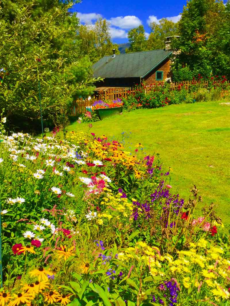 Consultez les 115 avis de voyageurs, 116 photos, . Prospect Point Cottages - Home Page