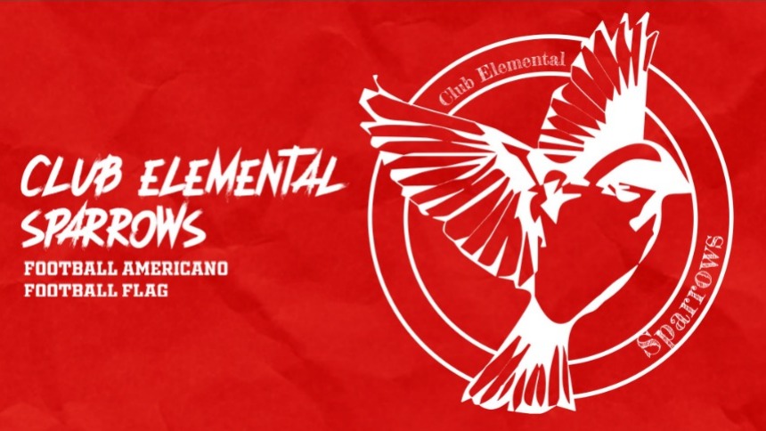 Club Elemental Sparrows Zaragoza